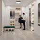 Bari Alpine Birch Plank Glue Down LVT Vinyl Flooring