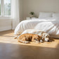 Basket Weave LVT Flooring Elements Inspirations Barn Oak