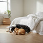 Basket Weave LVT Flooring Elements Inspirations Sandy Oak