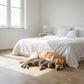 Basket Weave LVT Flooring Textures Weathered Oak