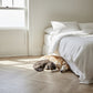 Elements Inspirations Herringbone Dove Oak EIH04 Glue Down LVT Vinyl Flooring