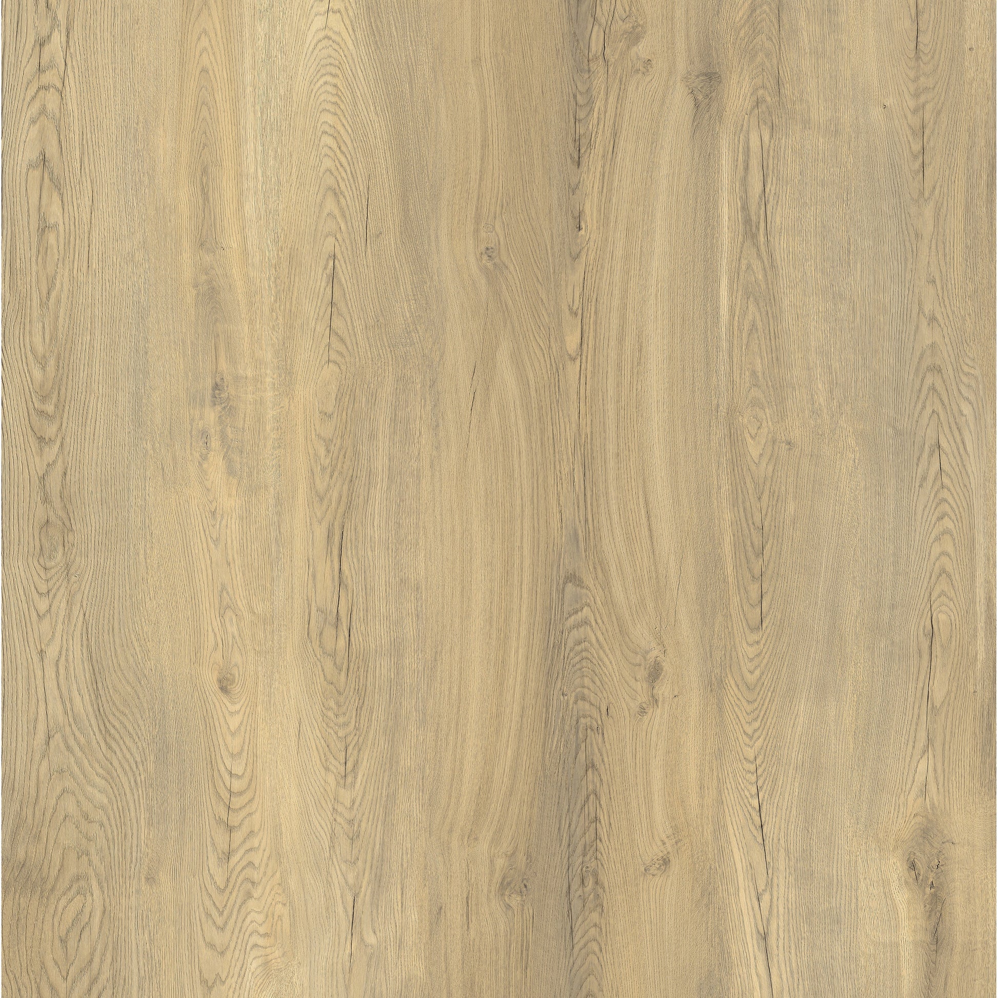 Lusso Naples Canopy Oak Click SPC Vinyl Flooring - (SAMPLE)