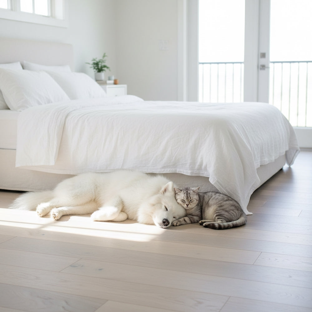 Lusso Carrara Snow Engineered Oak