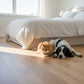 Lusso Catania Luxe Classic Engineered Oak