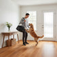 Lusso Catania Luxe Elderwood Engineered Oak