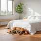 Lusso Catania Luxe Elderwood Engineered Oak