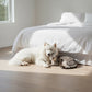 Lusso Catania Luxe Frost Engineered Oak
