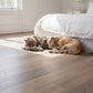 Lusso Catania Smoked Grey Oiled Engineered Oak 190mm