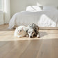 Lusso Catania White Brushed Oiled Engineered Oak 190mm