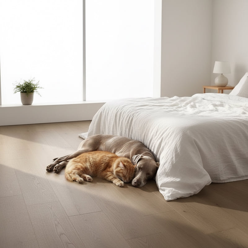 Lusso Como Bella Garda Engineered Oak Flooring