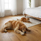 Lusso Modena Golden Engineered Oak 190mm