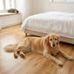 Lusso Modena Natural Lacquered Engineered Oak 125mm