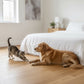 Lusso Modena Natural Lacquered Engineered Oak 150mm