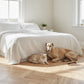 Lusso Novara Herringbone Invisible Engineered Oak