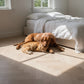 Lusso Novara Luxe Cougar Herringbone Engineered Oak
