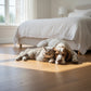 Lusso Novara Luxe Golden Brushed UV Oiled Oak Engineered Wood Flooring