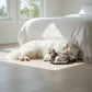 Lusso Novara Luxe Snowdrift White Oiled Oak Engineered Wood Flooring