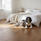 Lusso Novara Smoked Brushed & Lacquered Engineered Oak