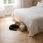 Lusso Palermo Phantom Oak Chevron Engineered Flooring