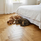 Lusso Rome Herringbone Brushed & Lacquered Golden Engineered Oak