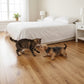 Lusso Sorrento Natural Lacquered Engineered Oak 125mm