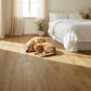 Lusso Trento Distressed Oiled Golden Engineered Oak 220mm