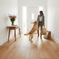 Lusso Venice Luxe Golden Oak Brushed & Lacquered 20/6mm Engineered Oak