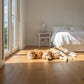 Lusso Venice Luxe Golden Oak Brushed & Lacquered 20/6mm Engineered Oak