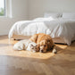 Lusso Venice Luxe Golden Oak Brushed & Oiled 20/6mm Herringbone Engineered Wood Flooring