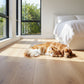 Lusso Venice Luxe Natural Oak Brushed & Oiled 20/6 mm Engineered Wood Flooring
