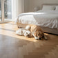 Lusso Venice Luxe Natural Oak Brushed & Oiled 20/6 mm Herringbone Engineered Wood Flooring