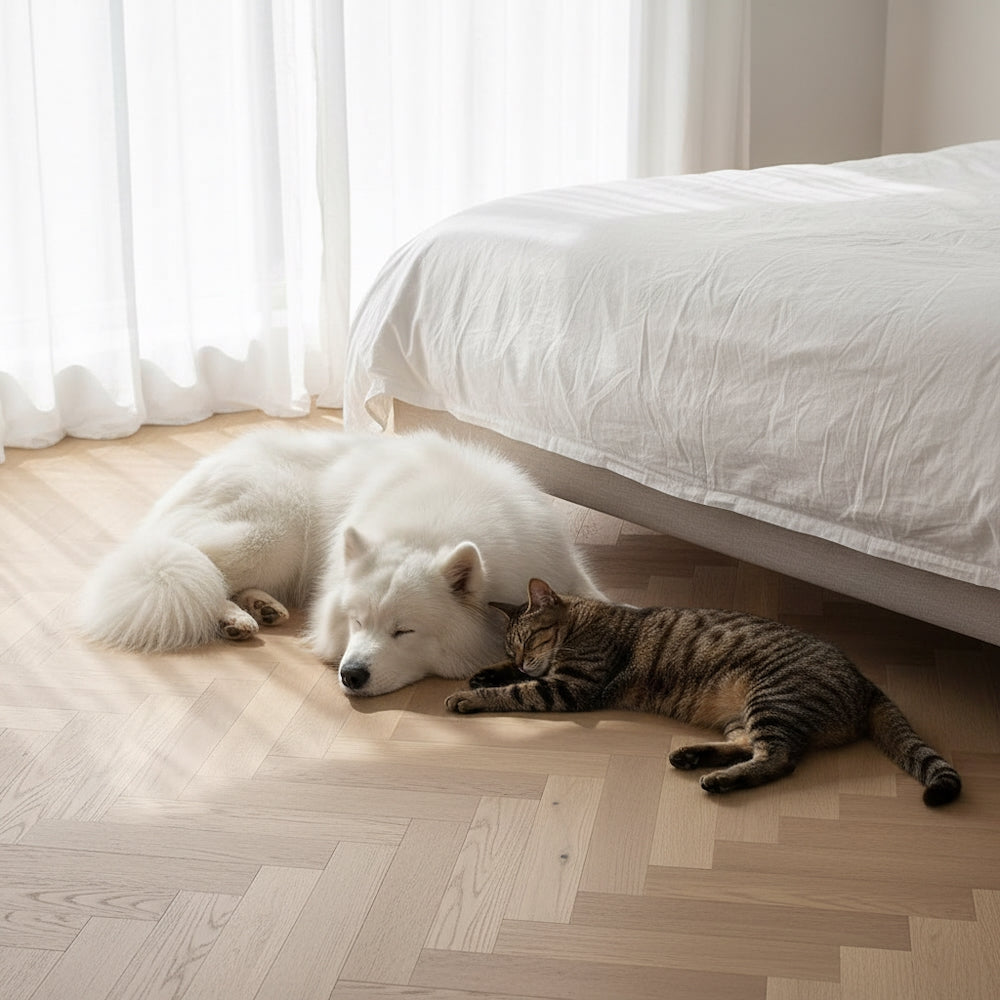Lusso Venice Luxe Natural Oak Invisible Oiled 20/6 mm Herringbone Engineered Wood Flooring
