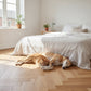Lusso Venice Luxe Natural Oak Lacquered 20/6 mm Herringbone Engineered Wood Flooring