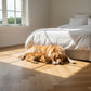 Textures Honey Oak Herringbone TH07 LVT Flooring