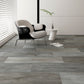 Bari Silken Ash Plank Glue Down LVT Vinyl Flooring - (SAMPLE)
