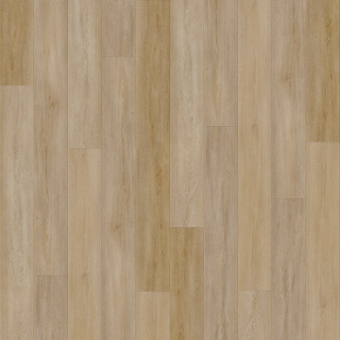Lusso Bari Snowcap Poplar Plank Glue Down LVT Vinyl Flooring