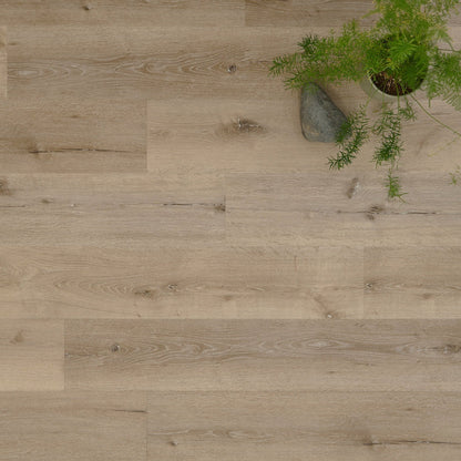 Lusso Portofino Featured Spruce Glue Down LVT Vinyl Flooring - (SAMPLE)