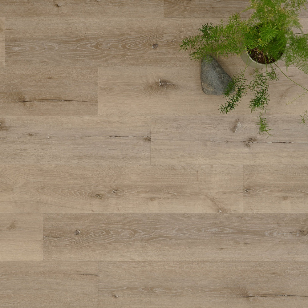 Lusso Portofino Featured Spruce SPC Vinyl Click Flooring - (SAMPLE)