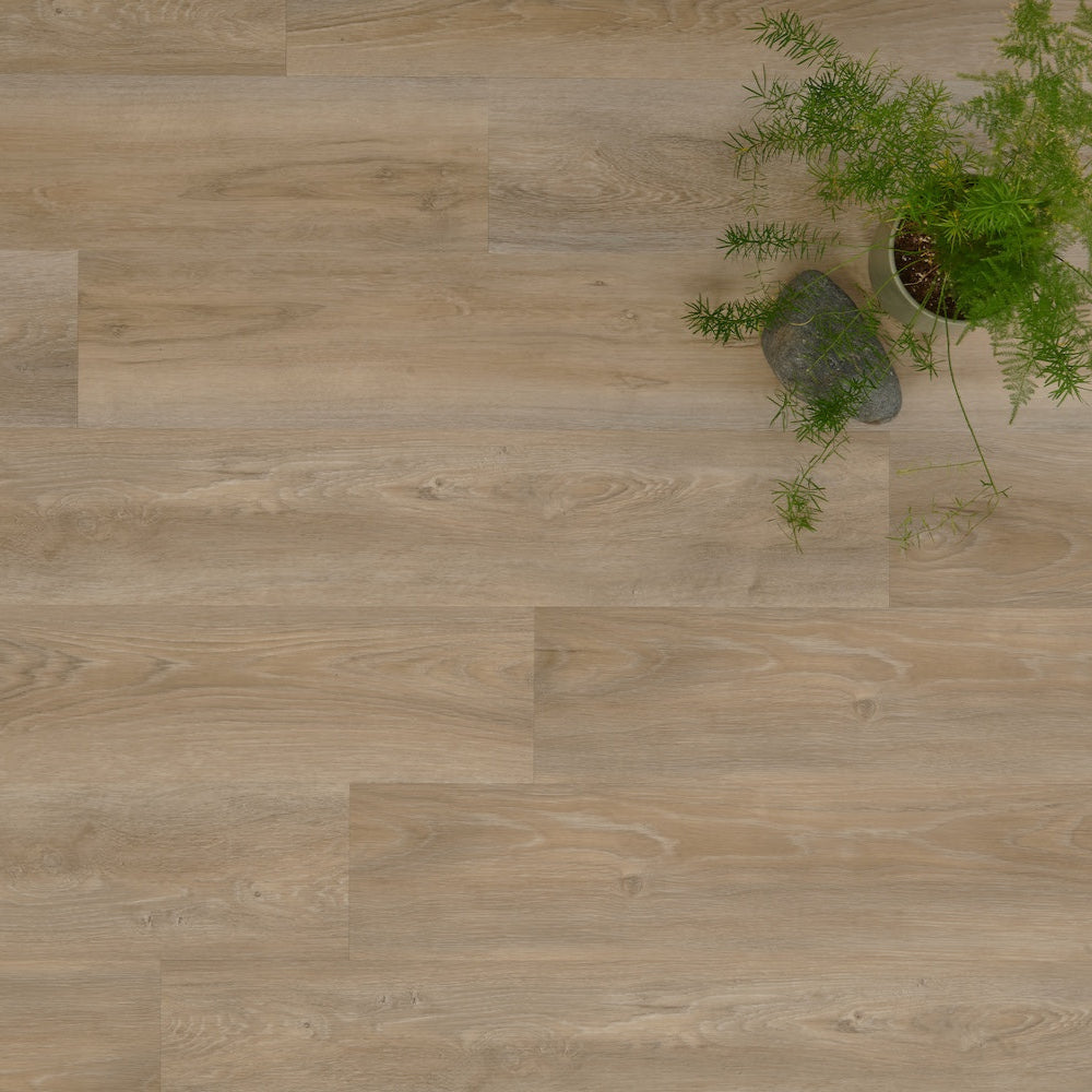 Portofino Treated Birch Glue Down LVT Vinyl Flooring - (SAMPLE)