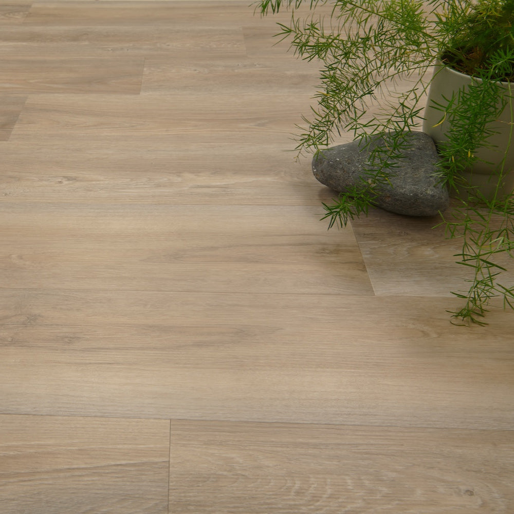 Lusso Portofino Treated Birch Glue Down LVT Vinyl Flooring