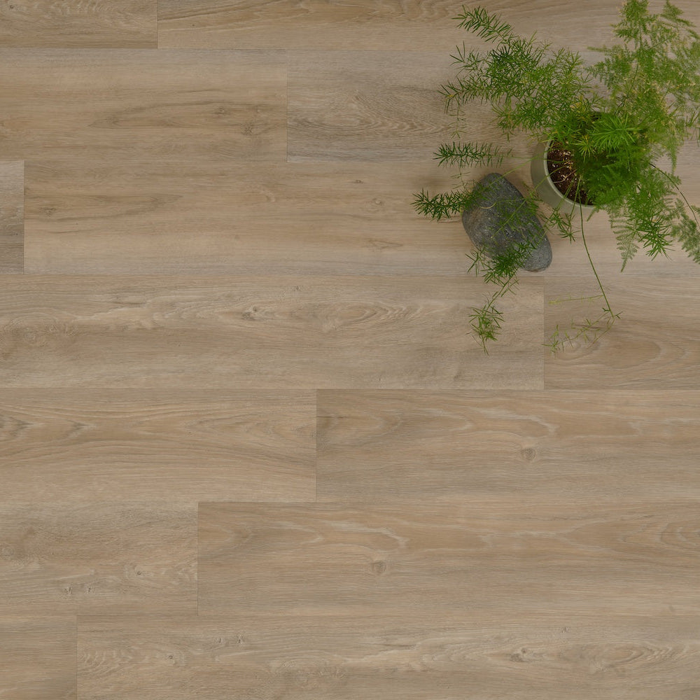 Lusso Portofino Treated Birch SPC Vinyl Click Flooring - (SAMPLE)