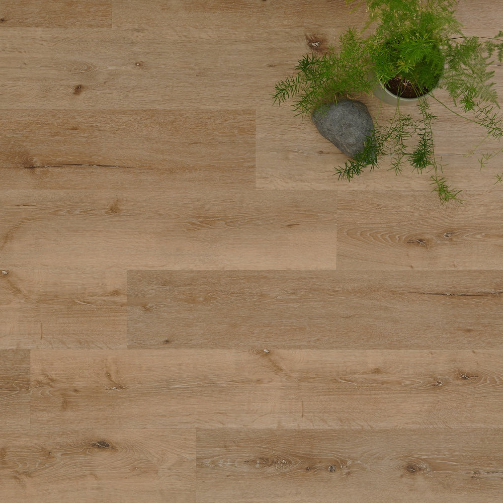 Lusso Portofino Voyager Oak SPC Vinyl Click Flooring - (SAMPLE)