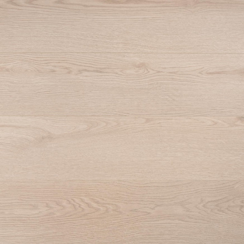 Lusso Prato Camden 8mm Laminate Flooring - (SAMPLE)